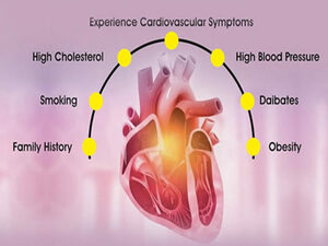 Cardiology KNOW MORE